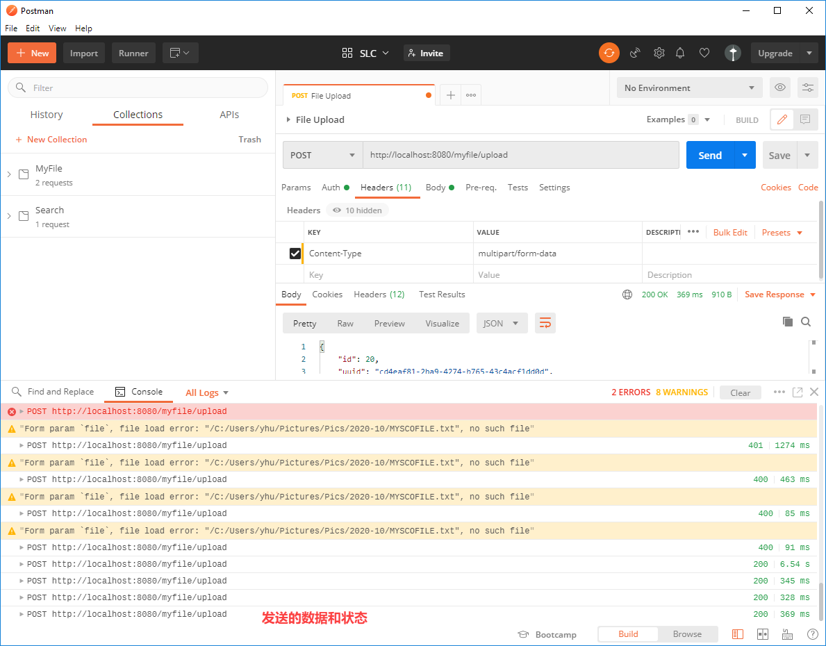 postman console output